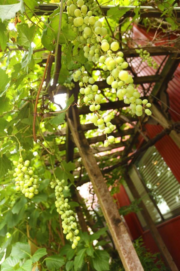 بيت شباب Grapehouse Koenji طوكيو المظهر الخارجي الصورة